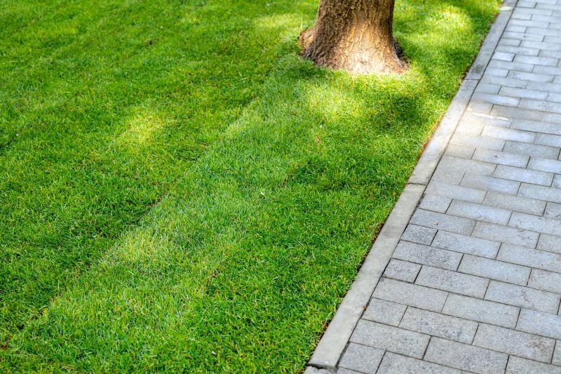Pathway Installation Service