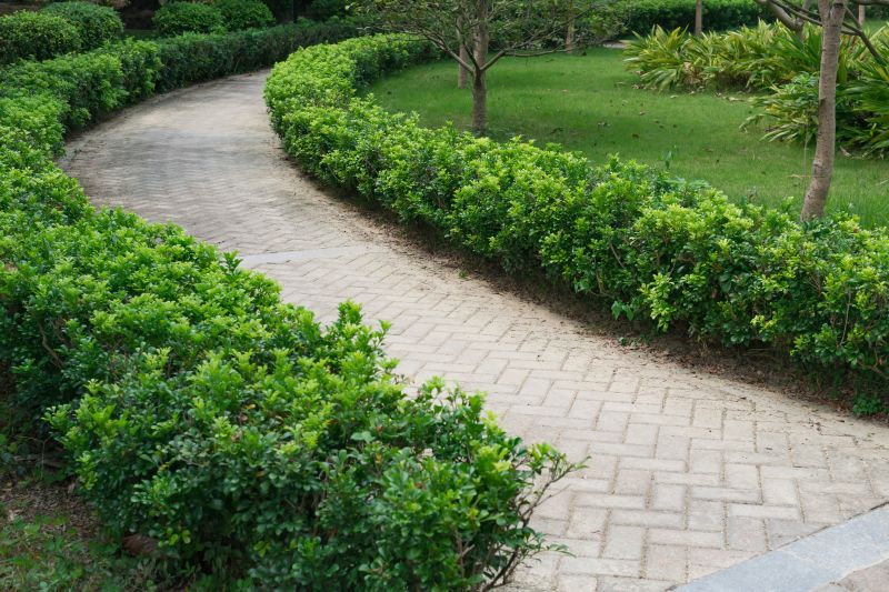 Pathway Installation Service
